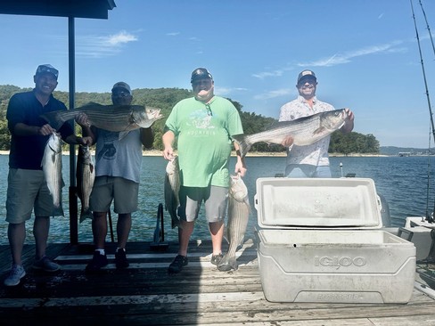 Nice Striped Bass