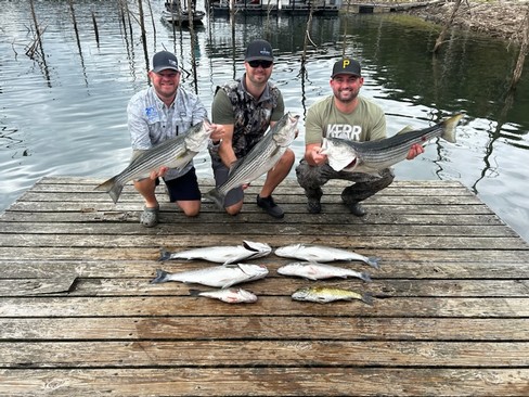 Nice Striped Bass