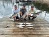 (09/14/2024) - Nice Striped Bass