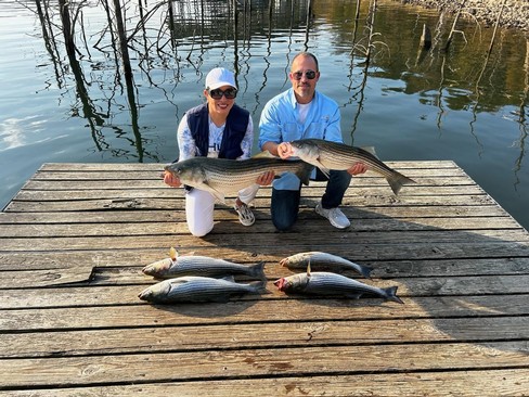 Nice Striped Bass