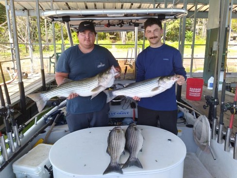 Nice Striped Bass