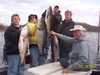 (03/18/2005) - Nice Striped Bass