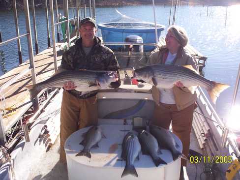 Nice Striped Bass