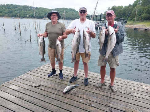 Nice Striped Bass