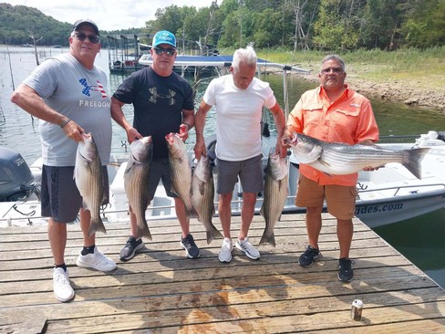 Nice Striped Bass