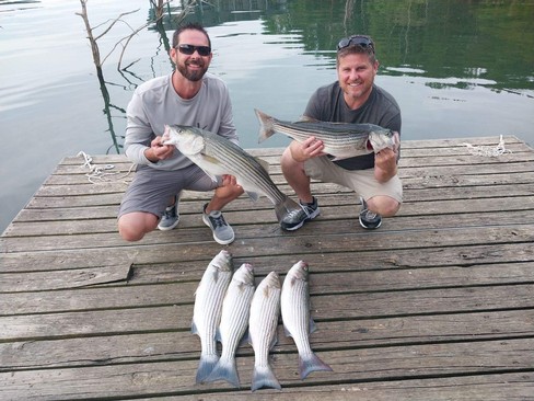 Nice Striped Bass