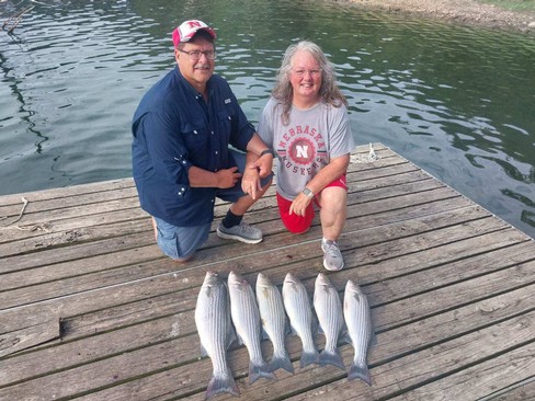 Nice Striped Bass