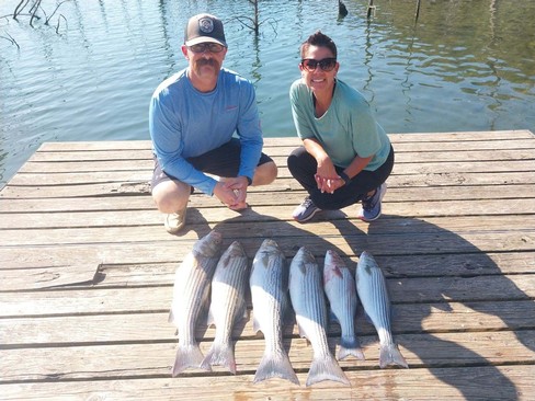 Nice Striped Bass