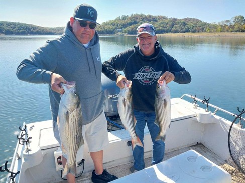 Nice Striped Bass