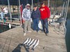 (10/13/2024) - Nice Striped Bass