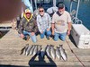 (10/18/2024) - Nice Striped Bass