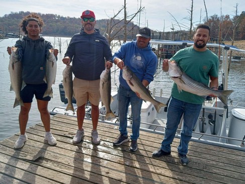 Nice Striped Bass