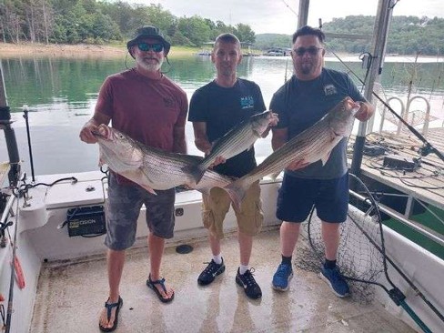 Nice Striped Bass