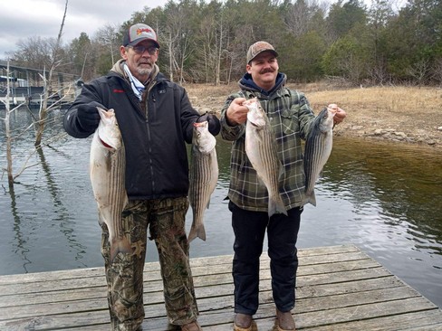 Nice Striped Bass