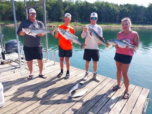 Beaver Lake Striped Bass Fishing Report Guided Striper