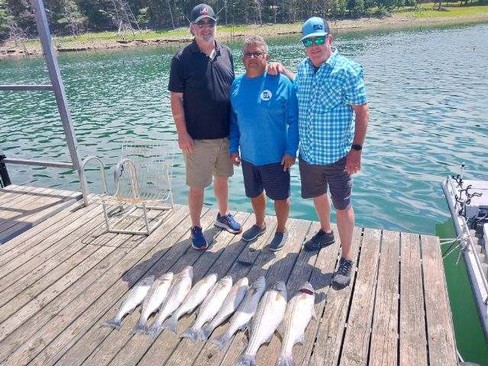 Nice Striped Bass